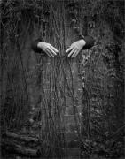 Disembodied - ... ...
