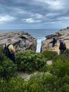 Dramatic-cliffs - Jan Glover