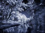Drip Gorge - Steve Mullarkey