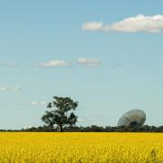 Dubbo-On the Road to Dubbo - Shane Clarkson