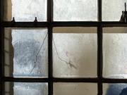 Window Capture - Dawn Zandstra