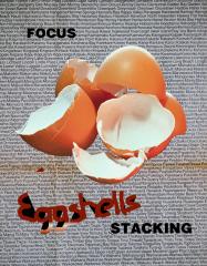 Eggshells - Tim Collisbird
