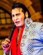 Elvis 1 - Steve Mullarkey