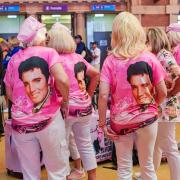 Elvis has their backs - Robyn Miller