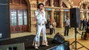 Elvis on stage - Robyn Miller