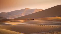 Erg Chebbi Sunset - Hemant Kogekar