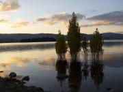 Evening lake - Maureen Rogers
