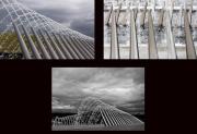 Every drop counts Michael Haylen Sept 2007 - ... ...