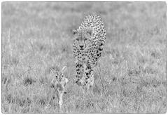 Eyes on Lunch - Kerry Boytell