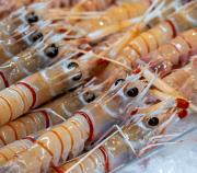 Eyes on me - Guy Machan