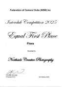 FCC Certificate - 1st Place- Flora - ... ...