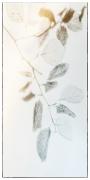 Faded-Autumn - ... ...
