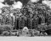 Fagan Park -240910-90114 - Donald Gould