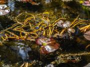 Fagan Park -240910-90195 - Donald Gould