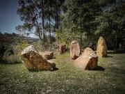 Fairy ring - Judy Watman