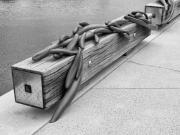 Falling fish - Maureen Rogers