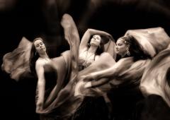 Fantasy - Michael Hing