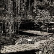 Favourite1 - Fran Brew