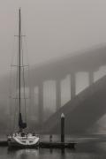 Misty_morn - David Ross