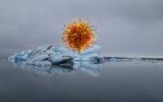 Fire and Ice - ... ...