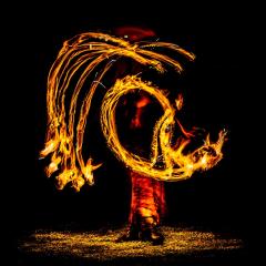 Fire tree - Strat Mairs