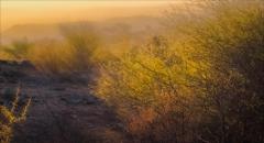First-light-Broken-Hill - Janice Gursanscky
