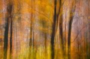 Flora KBoytell Impressions of Autumn - ... ...