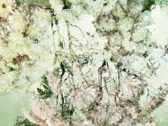 Floral abstract - Jan Glover