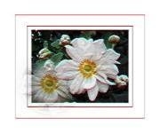 Flowers J Gordon - ... ...