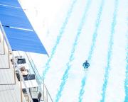 Follow the line - Janice Gursanscky