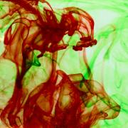 Food Colour #1 - Shane Clarkson