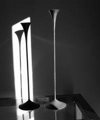 Form & Shadow - Lyn Arnold