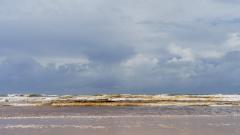 Fraser Island - Robyn Miller