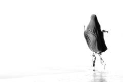 Freedom - Margaret Frankish