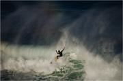 Freshwater EDI SM - ... ...