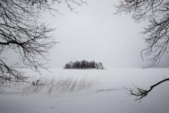 Frozen Lake - Phil Cargill
