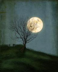 Full moon - Hemant Kogekar