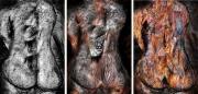 Fungi Consumption Michael Haylen - ... ...