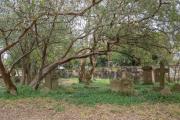 Camperdown Cemetery - Donald Gould