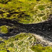 Geo Shapes - Alan Sutton