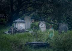 Ghosts in the Cemetery - Nigel Streatfield
