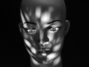 Gobo#2 - Shane Clarkson