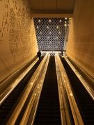 Golden - Maureen Rogers