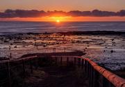 Golden Railings - Judith Bennett