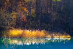 Golden Sheaves - Strat Mairs