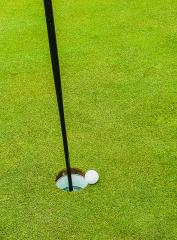Golfers' Frustration - Lex Wilson