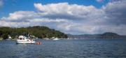 Dangar Island - Donald Gould