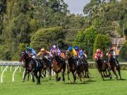 Wyong Races - Donald Gould