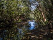 Creek near  Kelly's Falls - Donald Gould