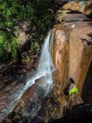 Kellys Falls - Donald Gould